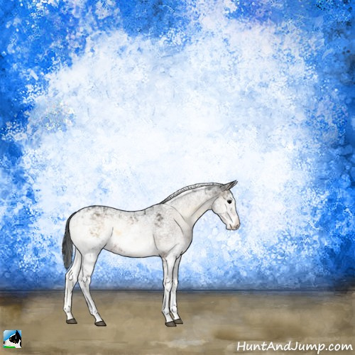 Horse Color:Brown Onyx Sabino Rabicano 