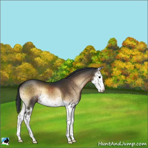 Horse Color:Brown Onyx Splash Brindle 