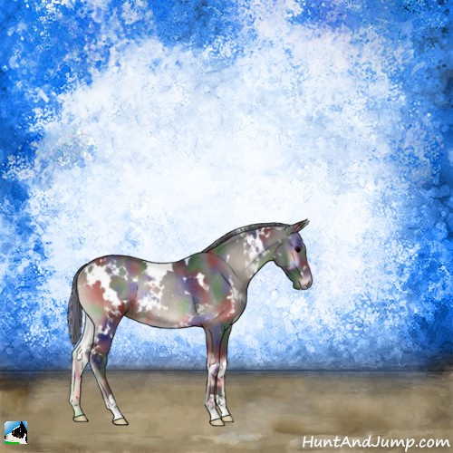 Horse Color:Nacre White Spotted Blue Onyx Mushroom Rabicano 