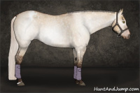Horse Color:Gray Silver Bay Roan Dun Snowflake Varnish Rabicano 
