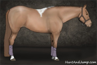 Horse Color:Black Pearl Sabino Tobiano 