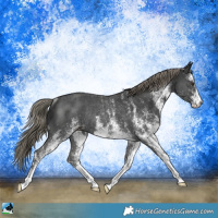 Horse Color:White Spotted Liver Chestnut Mushroom Rabicano 