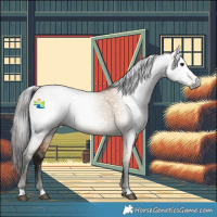 Horse Color:Gray Bay Dun 