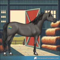 Horse Color:Grullo 