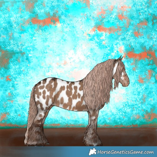 Horse Color:Liver Red Dun Appaloosa 