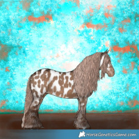 Horse Color:Liver Red Dun Appaloosa 