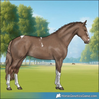 Horse Color:Liver Red Dun Tobiano Rabicano
