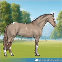 Horse Color:Liver Red Dun Tobiano Rabicano 