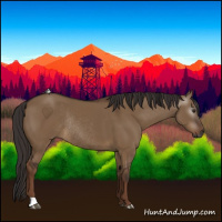 Horse Color:Gray Liver Red Dun Rabicano 