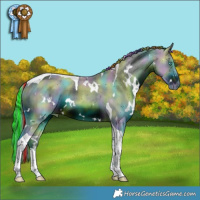 Horse Color:ERROR: UNKNOWN ANOMALY