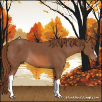 Horse Color:Chestnut Rabicano 