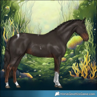 Horse Color:Liver Chestnut Tobiano Rabicano 