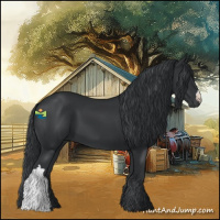 Horse Color:Black 