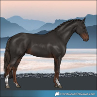 Horse Color:Liver Chestnut Tobiano Rabicano 