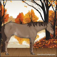 Horse Color:Liver Red Dun Rabicano 