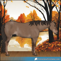 Horse Color:Liver Red Dun Rabicano 