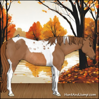 Horse Color:Chestnut Tobiano Rabicano
