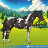 Horse Color:White Spotted Liver Chestnut Tobiano 