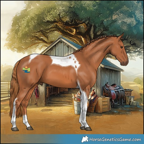 Horse Color:Chestnut Tobiano 