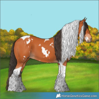 Horse Color:White Spotted Bay Tobiano