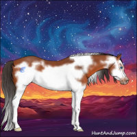 Horse Color:Bay Splash Frame 