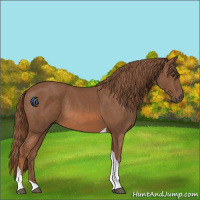 Horse Color:Chestnut Tobiano 