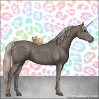 Horse Color:Silver Black 