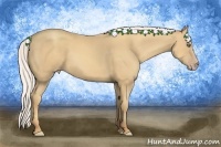 Horse Color:Silver Classic Cream Champagne 