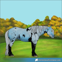 Horse Color:ERROR: UNKNOWN ANOMALY