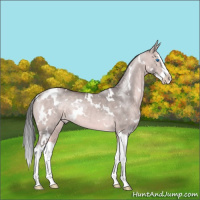 Horse Color:Platinum White Spotted Bay Dun Sabino Splash 
