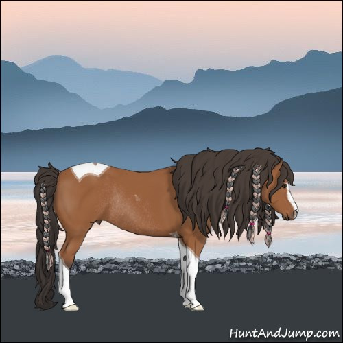 Horse Color:Bay Sabino Tobiano Rabicano 