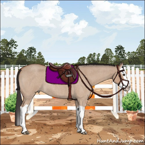Horse Color:Bay Roan Dun Splash 