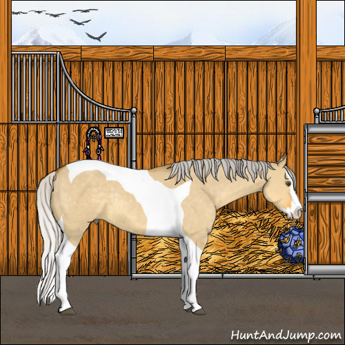 Horse Color:Silver Buckskin Dun Splash Tobiano Rabicano 