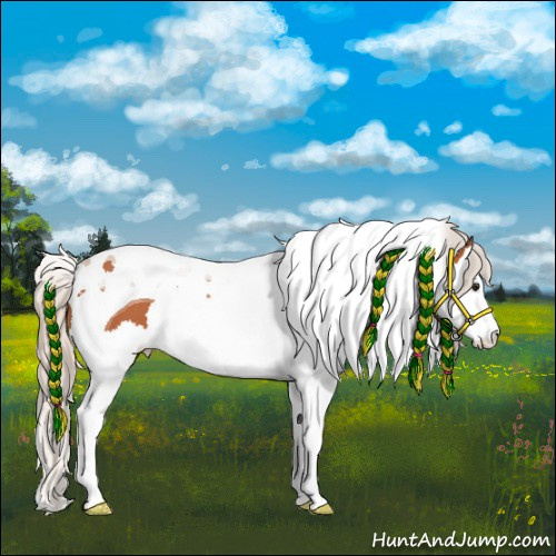 Horse Color:Silver Bay Roan Splash Tobiano 