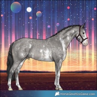 Horse Color:Grullo Sabino Rabicano