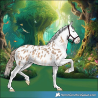 Horse Color:Amber Champagne Blanket 