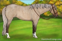 Horse Color:Silver Bay Roan Dun 