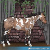 Horse Color:White Spotted Brown Dun 