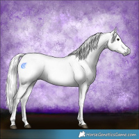 Horse Color:Gray Black  and Gray Black 