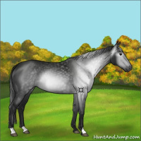 Horse Color:Gray Smoky Black 