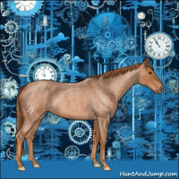 Horse Color:Red Roan 
