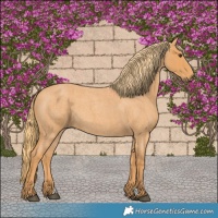 Horse Color:Red Roan 