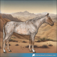 Horse Color:Chocolate Palomino Roan 