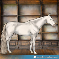 Horse Color:Perlino Dun 