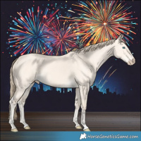 Horse Color:Perlino Dun 