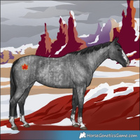 Horse Color:Blue Roan  and Blue Roan 