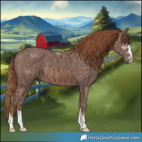 Horse Color:Chestnut Ice 