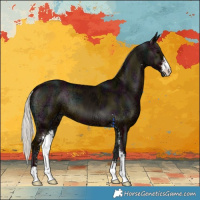 Horse Color:Midnight Silver Blue Onyx Ice Sabino 