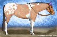 Horse Color:Bay Roan Tobiano Blanket 