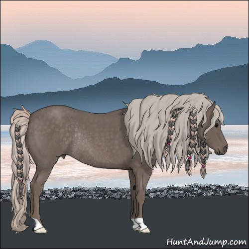 Horse Color:Silver Blue Roan Rabicano 